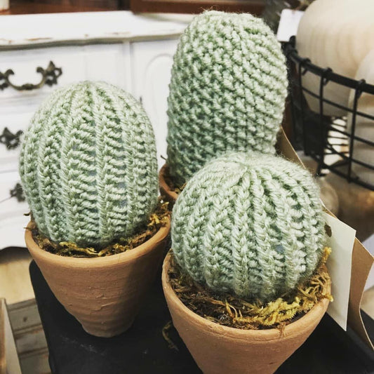 Knit Cactus in flower pot