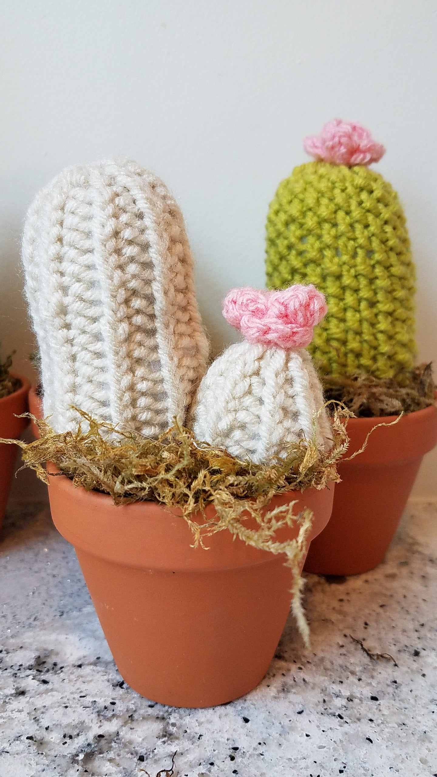 Knit Cactus in flower pot