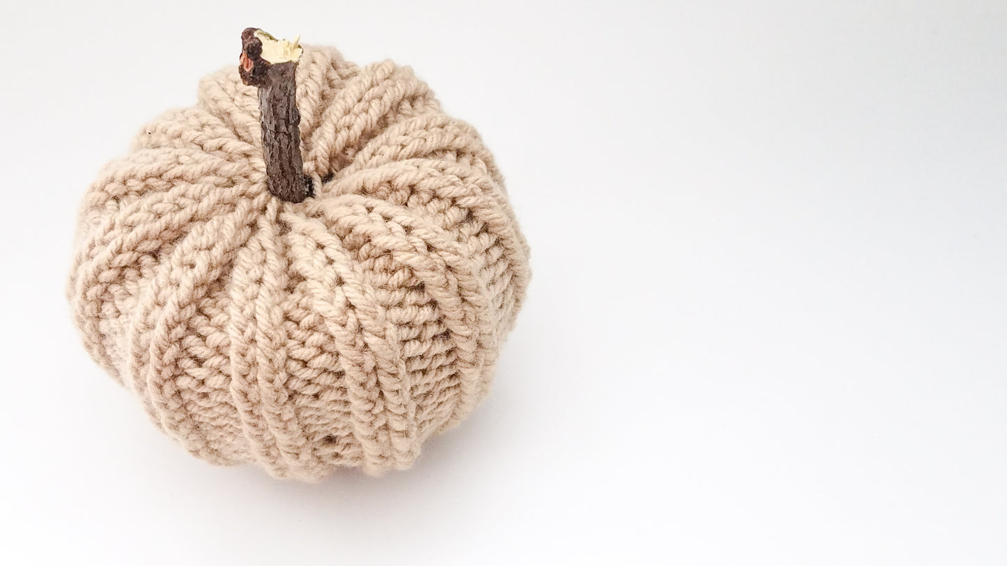 Knit Pumpkin with Natural Stick Stem