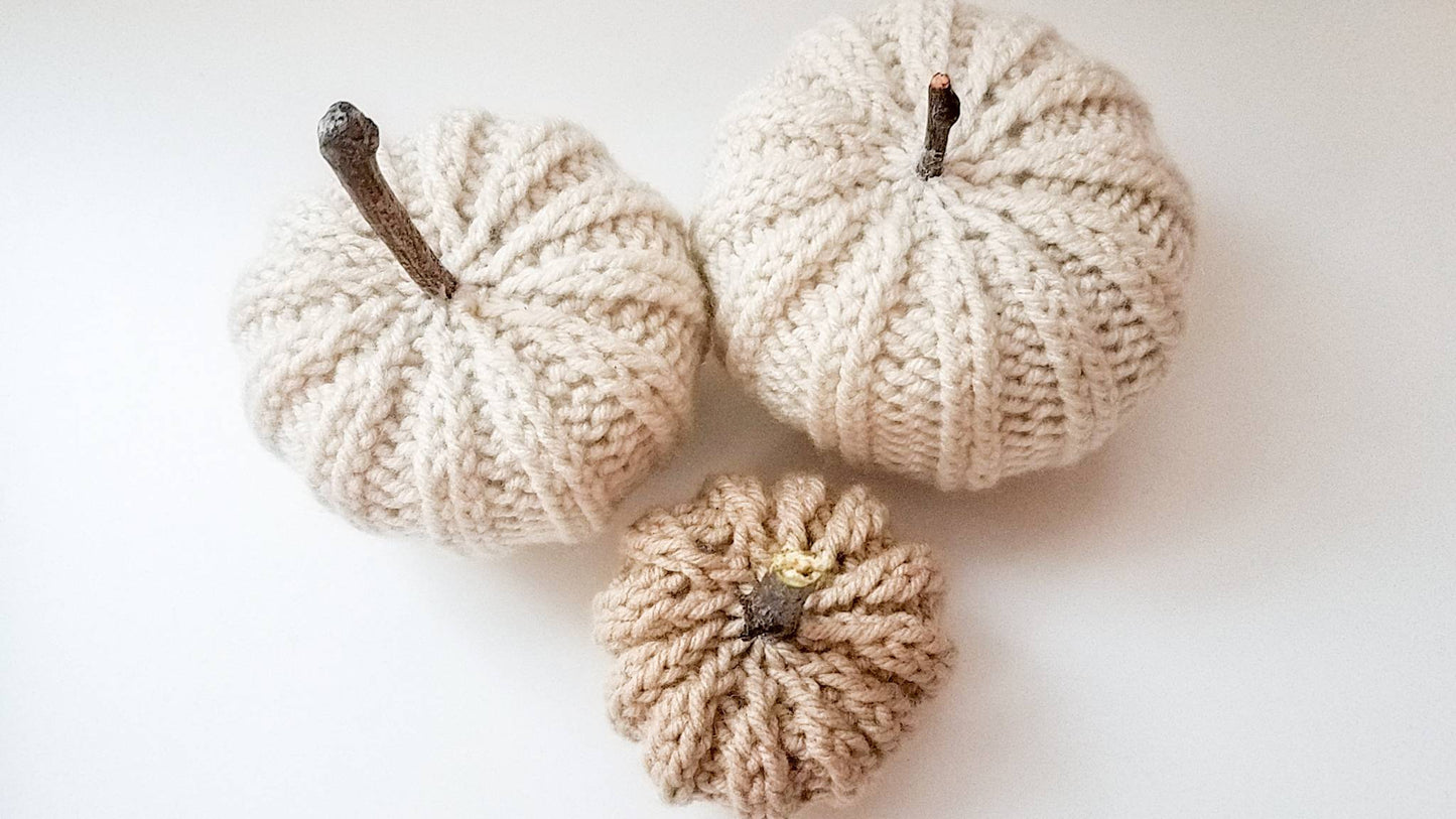 Knit Pumpkin with Natural Stick Stem