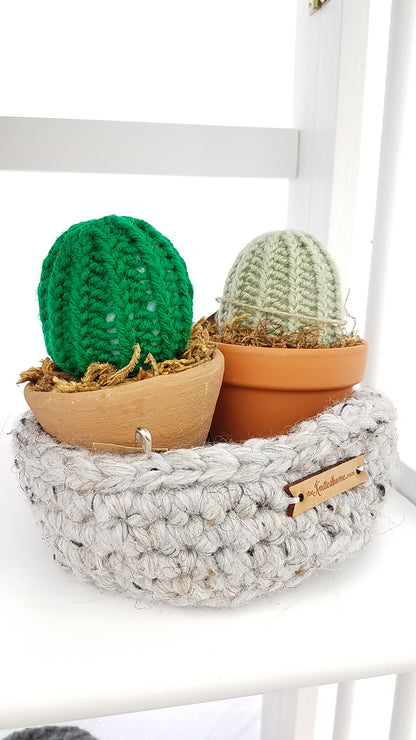 Knit Cactus in flower pot