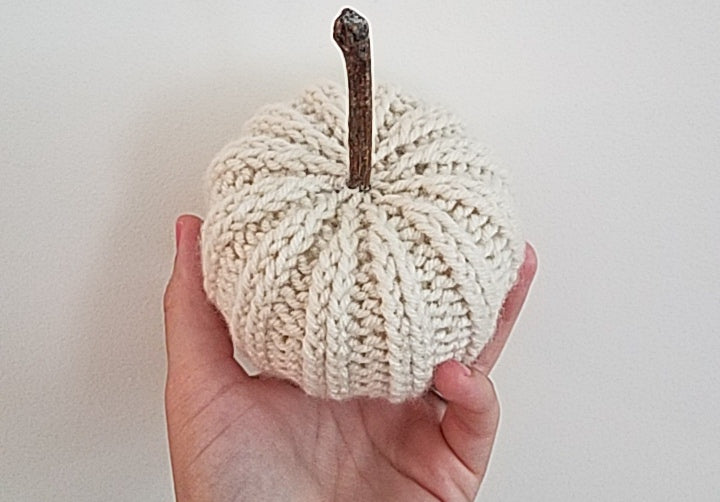 Knit Pumpkin with Natural Stick Stem