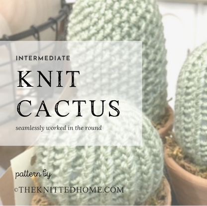 Intermediate Knit Cactus Pattern