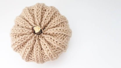 Knit Pumpkin with Natural Stick Stem